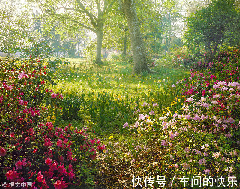 |搞笑段子:堂哥长得很帅,附近离婚的单身女性非赖着要嫁给他