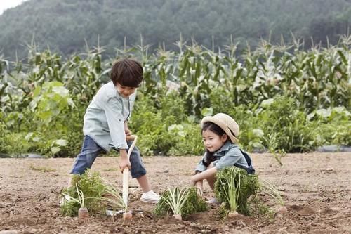 x染色体|夫妻中,谁的基因决定了孩子的智商和颜值?