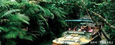 发现|二战时一位飞行员,挂树上长达70年,被发现后众人惊讶!