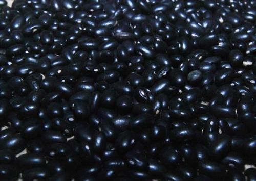 男性的“回春宝”找到,早晚放开肚子可劲儿吃,或越吃肾脏越好