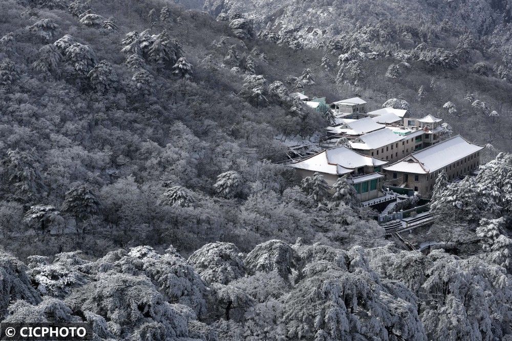 雪景|安徽黄山：小雪节气迎入冬初雪