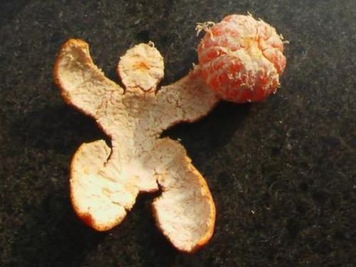 4种水果煮熟后,秒变降压、降脂、消炎药疗效惊人,中老年人要看