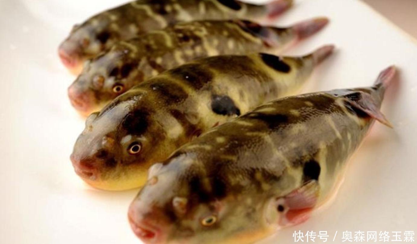 良渚遗址出土一件五千年前的瓷器,奇特的外形让其成为争议的焦点