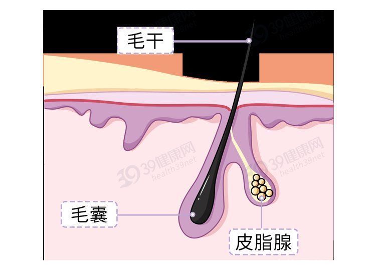 王光明|头发爱“出油”，到底是哪里出了问题？简单5招，帮你轻松调理