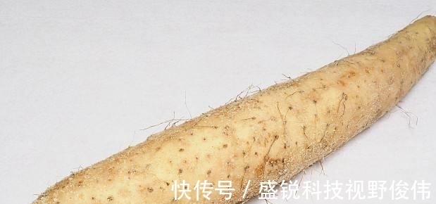 养生饭|早上空腹时，吃“此3样”特别容易养生，怪不得别人身体那么好