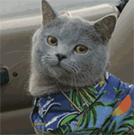 亚硝胺类|前列腺炎要想好，这5类东西不能碰！