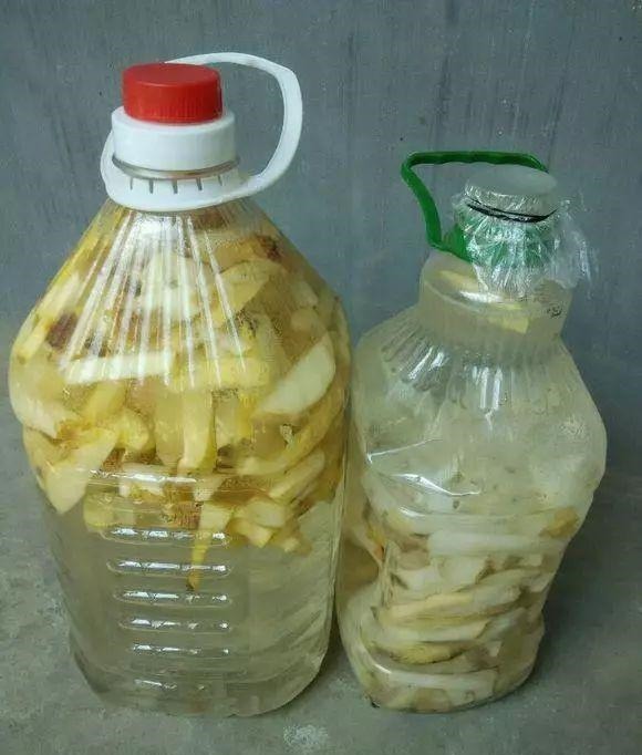 有机肥|花土硬得像石头,烂根又黄叶,灌点它很快变松软,不用换土!