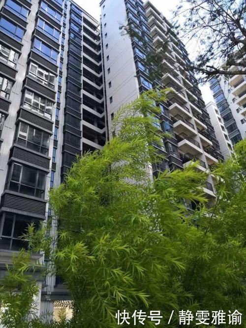 深圳|小产权房到底能不能买为什么受到那么多购房者追捧市场为什么那么火爆