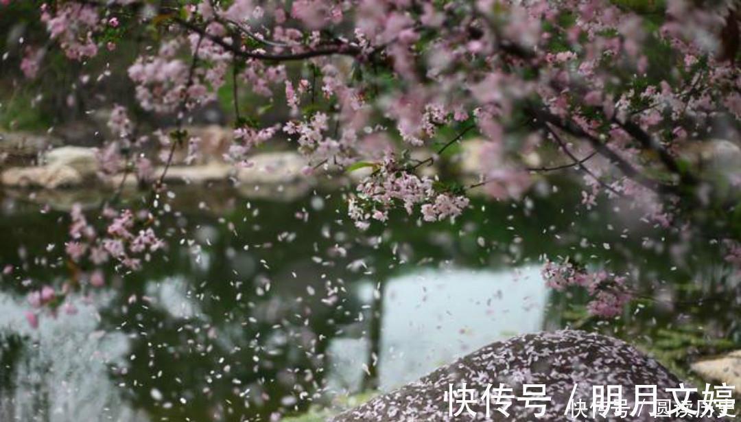 王氏@李商隐的诗常常引用典故,只有这首《落花》,全诗纯用白描的手法