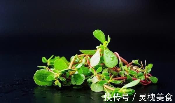 苦瓜|不起眼的它却是天然“胰岛素”, 每天饭后来一点, 血糖慢慢降下来