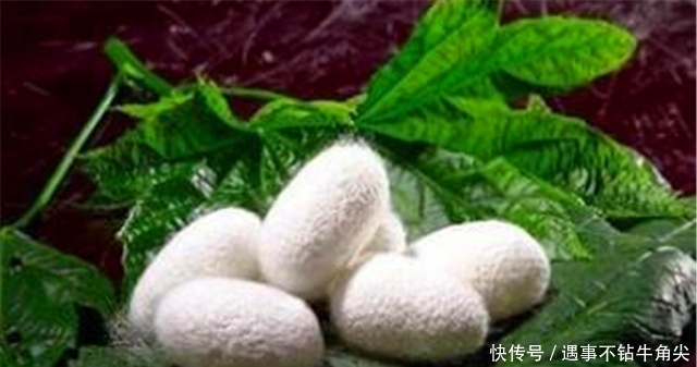 做礼物、做衣服、搞玄学,小小蚕丝为何在先秦发挥大大作用?!