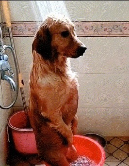 |搞笑GIF趣图徒手开榴莲,非专业人士不要模仿!