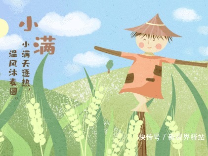 麦秋|【节气】小满,一个充满传统智慧的节气!