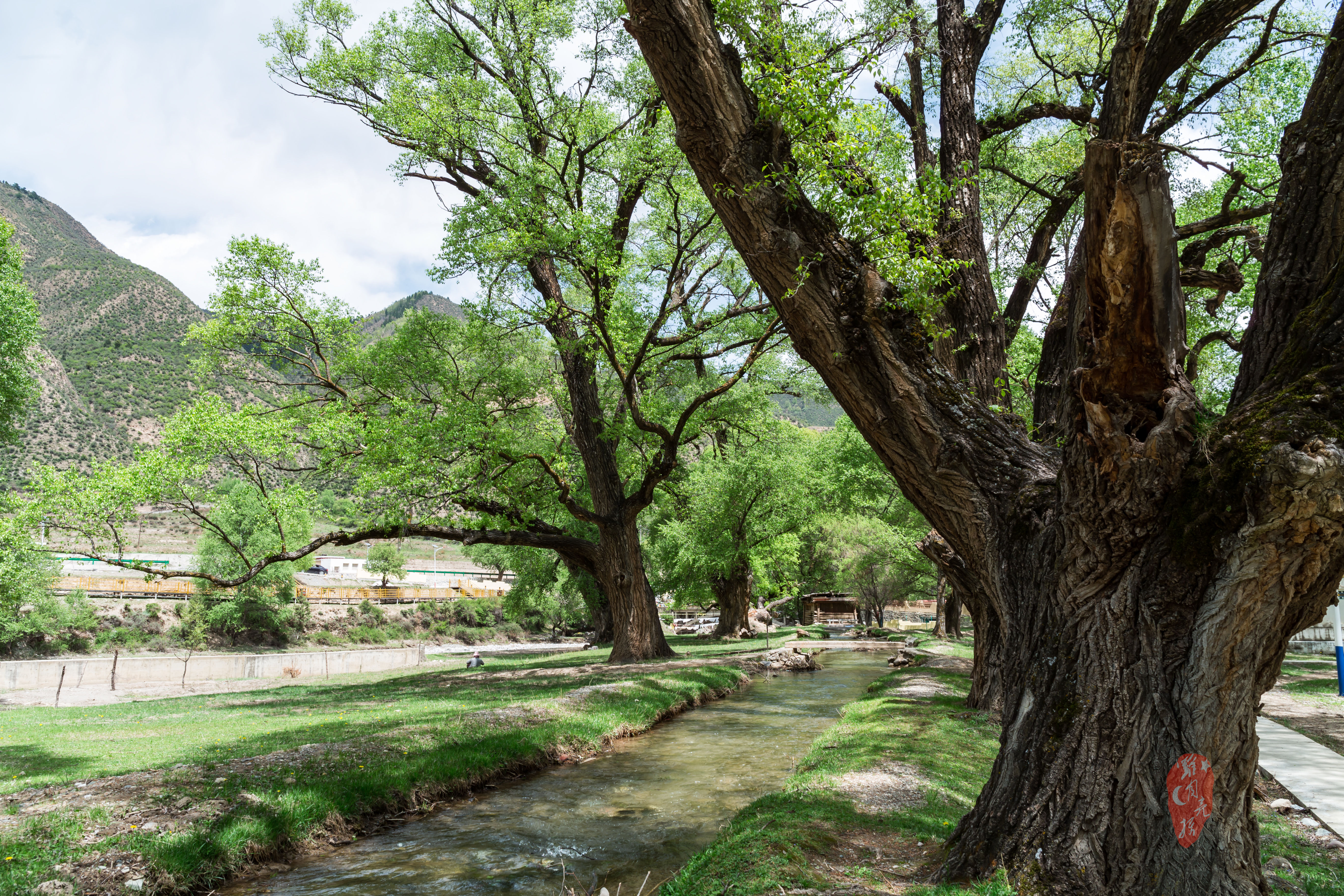 【阿坝甘南行上篇】去红色阿坝，沿着松州若尔盖走过雪山草地