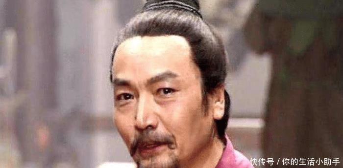 刘备|赵云的副手,大器晚成的小人物,受到刘备赏识,促成东吴蜀汉结盟