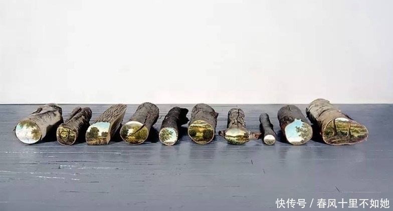 树桩$她用她的双手造出了最美的森林,大家看了她的作品都赞美不止!