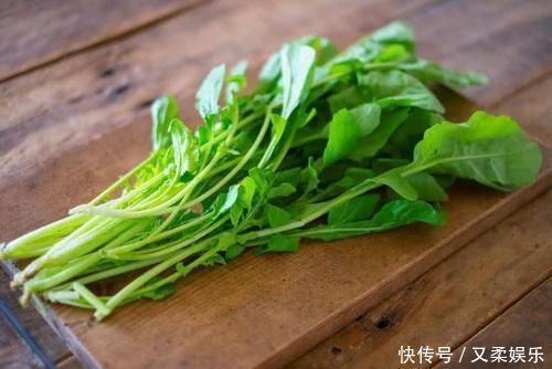 很多人只吃种子,实际上叶子才是宝贝,现如今20元1斤供不应求