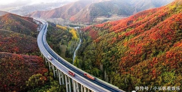  大地|「视觉」河东大地绽新颜 今朝盛景迷人眼