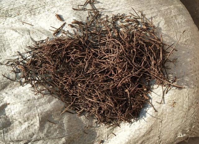 爷爷养花,从不用“营养液”,路边捡“2种料”,养啥花都爆盆!