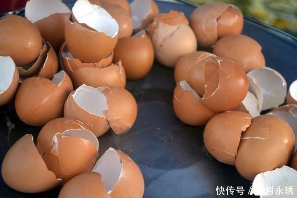 扔鸡蛋壳等于在扔钱,留在家里特别“值钱”,作用花钱都买不到