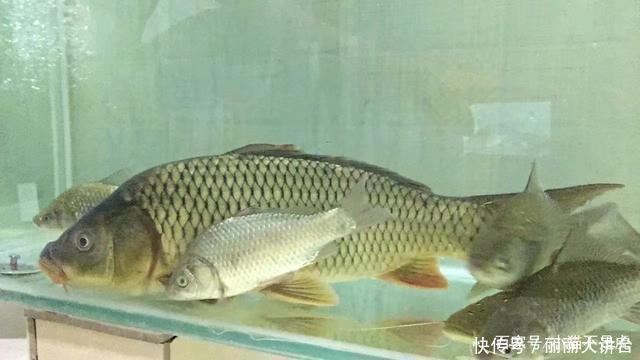 线组与鱼竿这样搭配,效果更好