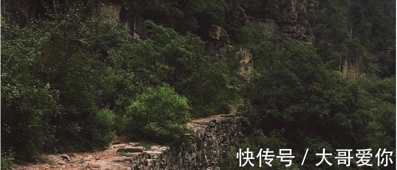 刘寿|刘公案：贪心之祸