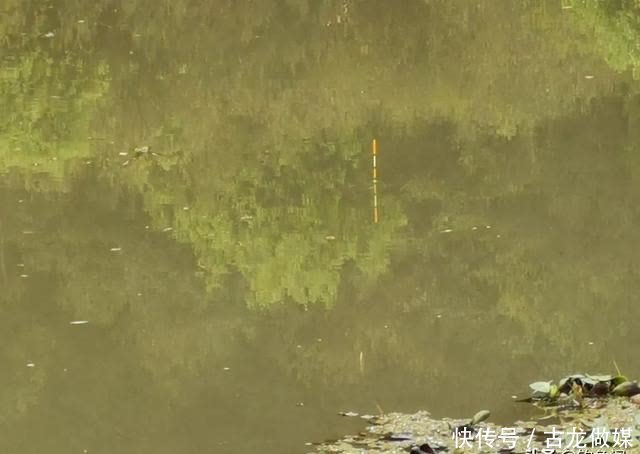 钓草鱼别怕累,这种钓法诱鱼速度最快,一来就是好几条