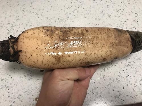 年夜饭必吃的一道素菜，清脆爽口不油腻，寓意好运连连、连年有余