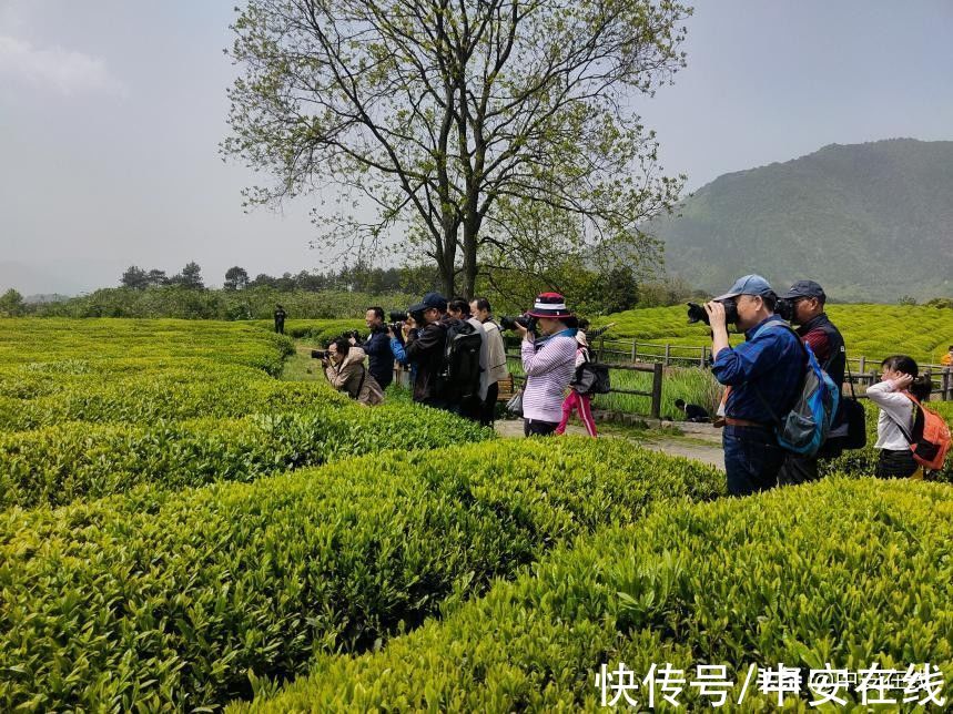 来旌德，深呼吸——写在旌德县荣膺“中国天然氧吧”称号之际