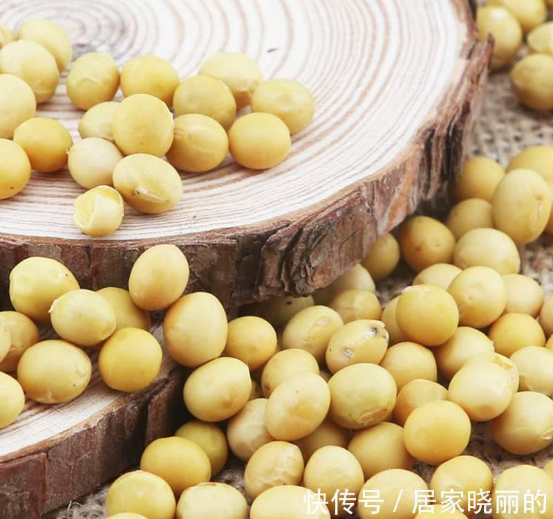 花卉|养花叶子发黄怎么办,掌握方法技巧,轻松解决问题