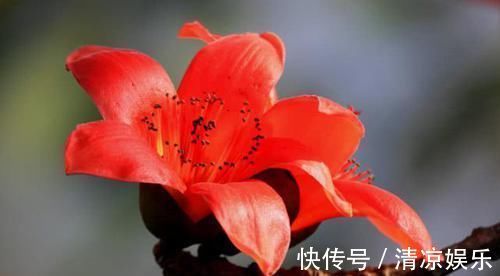 异常|湿气重不重,看嘴巴,若出现3种异常,可吃5物祛湿,不要拖