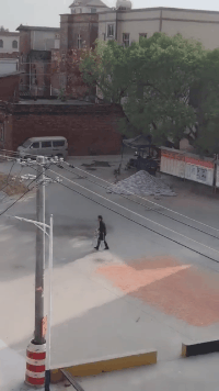 |搞笑GIF:生活不允许你在它面前嘚瑟