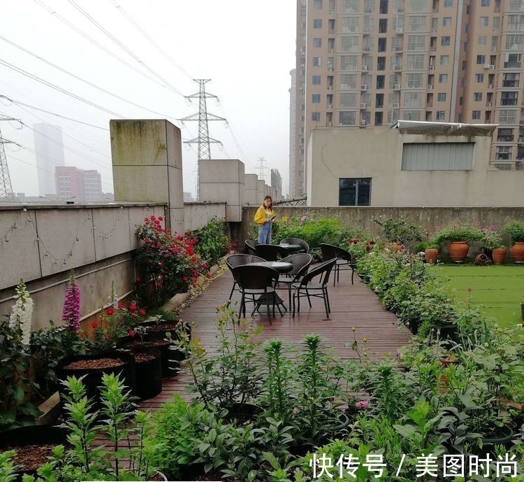 菜地|2年前买了个300㎡的露台,打造成屋顶花园,过上了田园生活