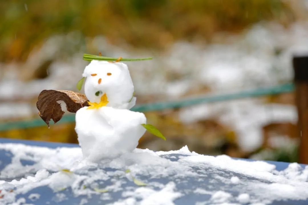 维生素c|今日大雪，读什么诗更浪漫？熬什么汤更养生？