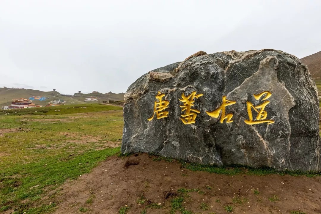 青海湖|青海，到底有什么？