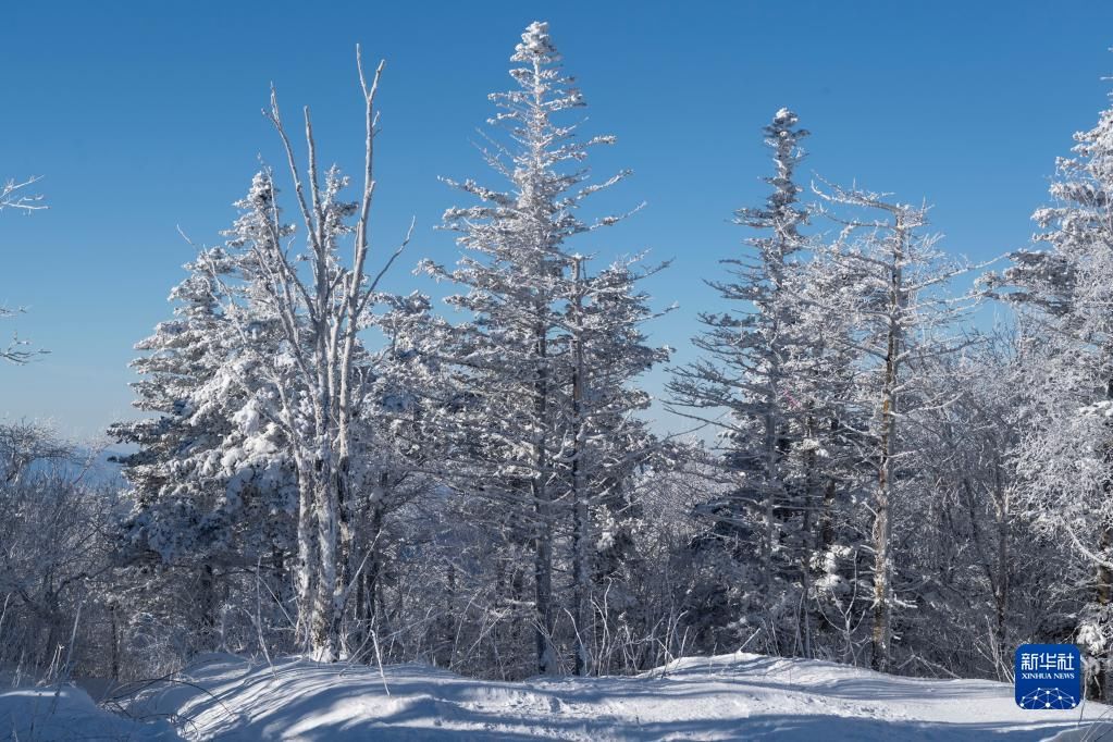 冬奥|新华全媒+丨冬奥临近 冰雪运动氛围浓——探访黑龙江省亚布力滑雪旅游度假区