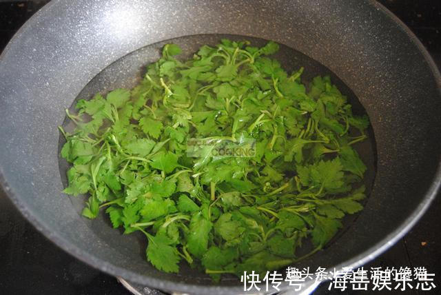 正当季|这菜是个宝，可惜很多人当草，包饺子比荠菜还鲜，现在吃正当季