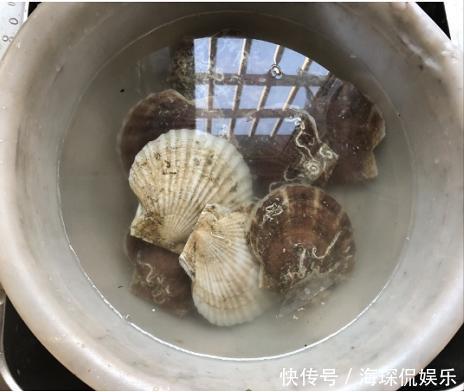 香味|一道香味十足的家常菜,秋天没胃口,吃此菜就对了