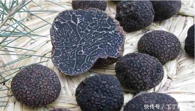 蒸鸡的方法很多,而有了黑松露加入,你将品尝到不一样的味道口感