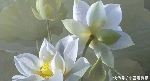 战胜|拯救世人,战胜疫情(一首赞美诗)