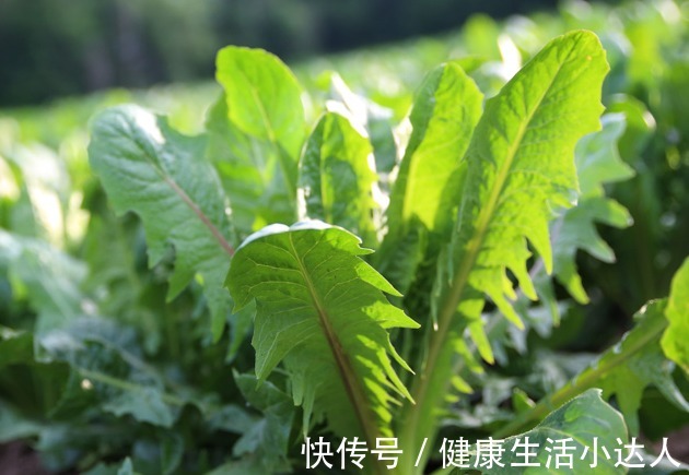 调理|糖尿病是怎么来的?常有7个感受,是血糖超标了,尽早调理