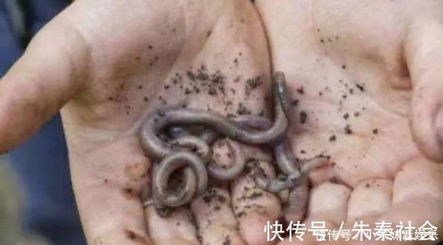 浮漂|钓点处“冒泡”,就是不见有鱼吃钩?按我说的做,每次扬竿都有鱼