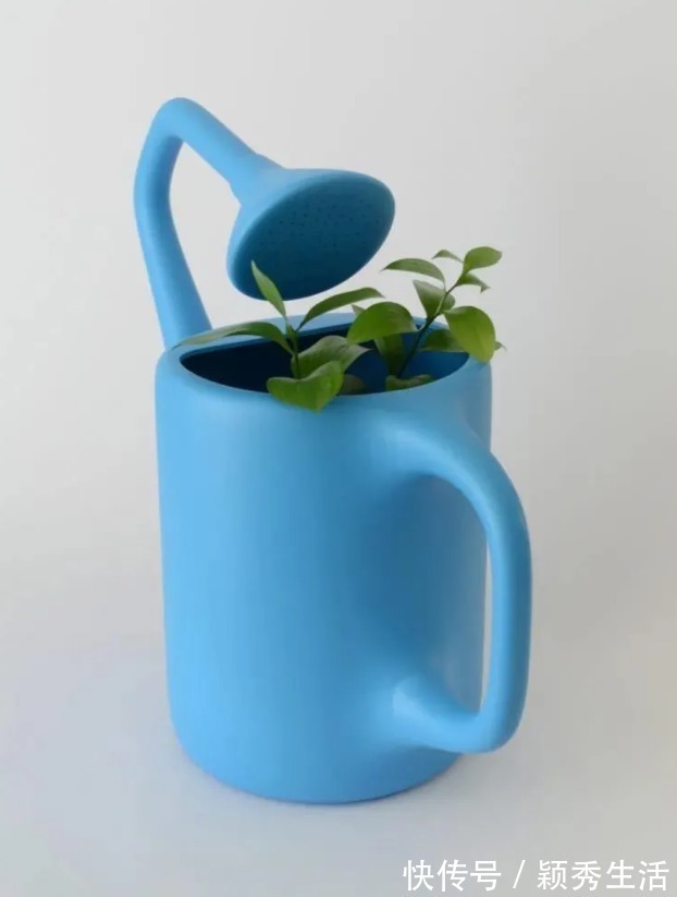 rin这位设计师做出了真正的“无用设计”，网友：每一个设计都要被骂