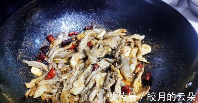 蘑菇|秋季吃鸡鸭猪肉不如吃它,蛋白质是猪肉4倍,补脑益智提高记忆力!