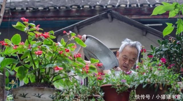 养花只会傻浇水这3种花“怕”水,浇多就烂根,不管才养得好