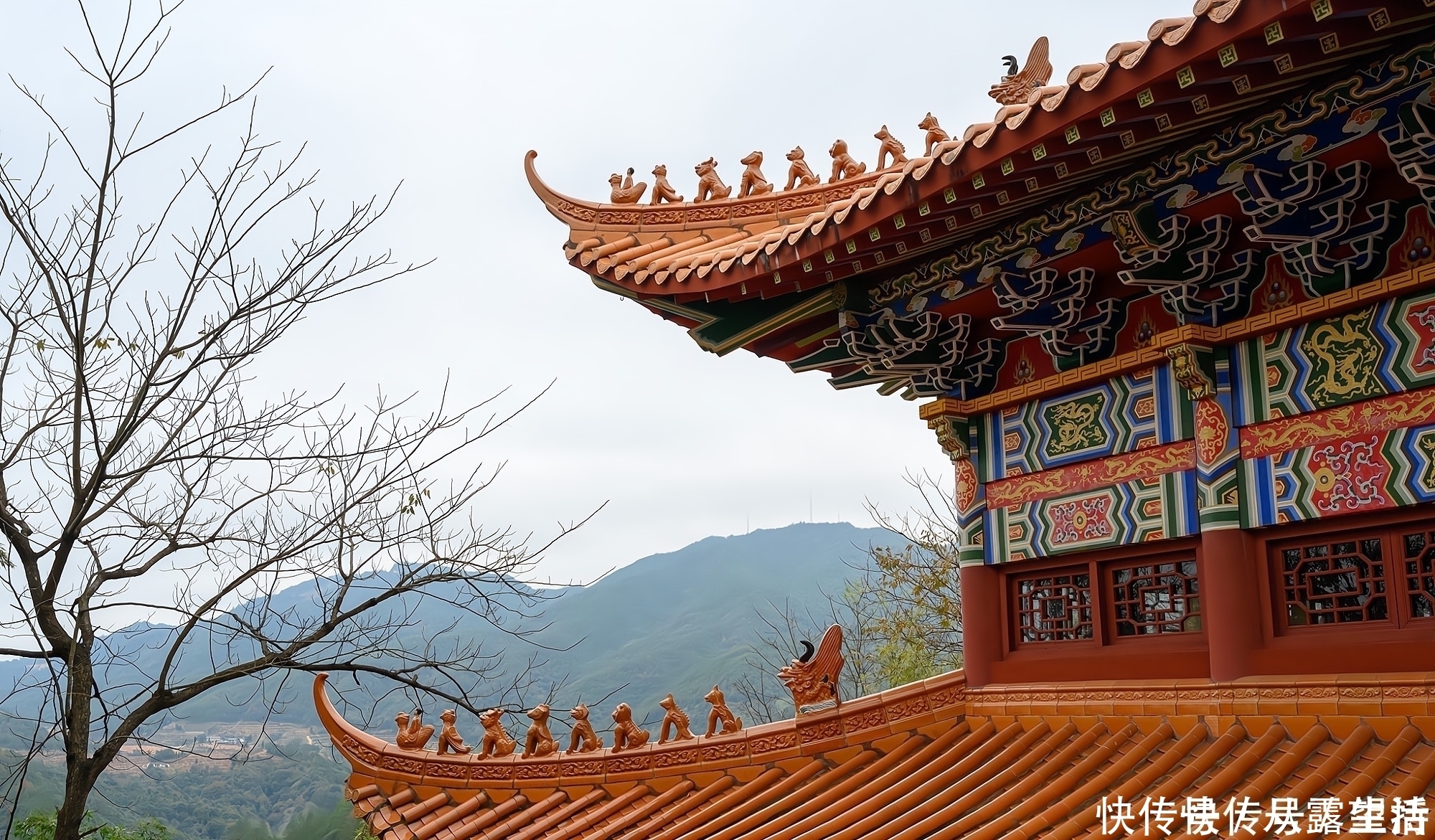 旺盛|藏在全南高山之巅的天龙山寺，至今400多年历史，常年香火旺盛！