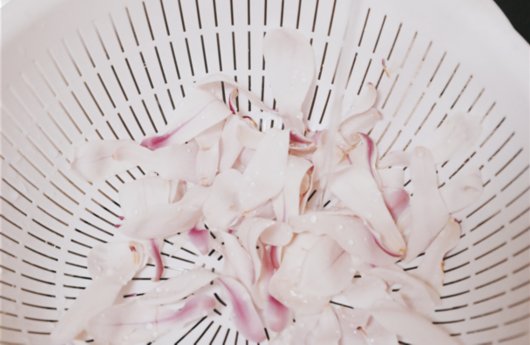 咬一口春天的味道 这种花好看还能吃