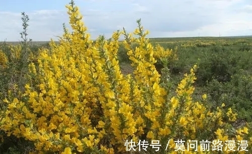 旺盛|过了9月9日后,好运来临,财运旺盛,财神呵护,人生再也忧愁