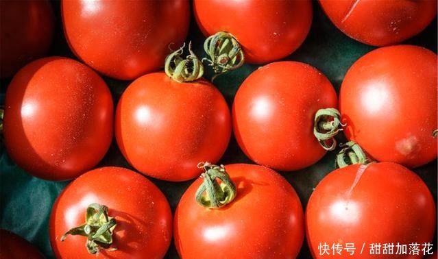  下饭|这才是西红柿炒鸡蛋的正确做法，营养丰富，味道鲜美，太下饭了