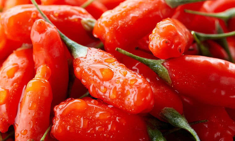 此物|眼睛见风流泪,还怕光常吃此物改善眼花目暗,预防白内障和夜盲